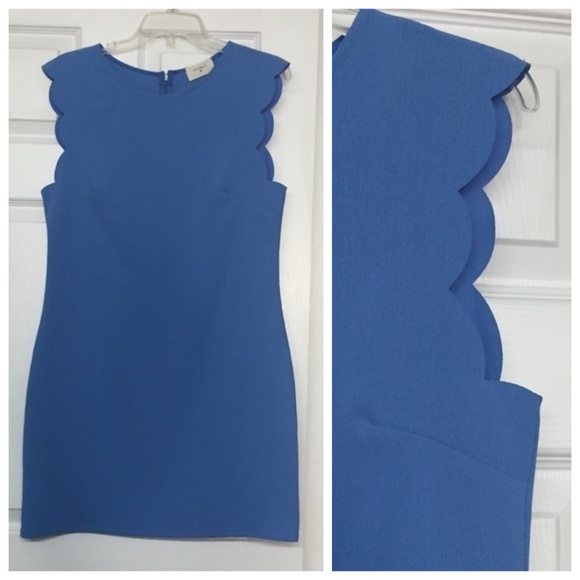 light blue shift dress with sleeves